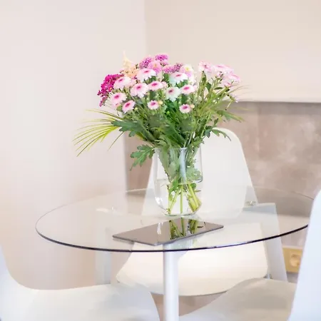 Luxurious Penthouse Newly Build Just 7-minutes From Rotterdam Cs App3 3*